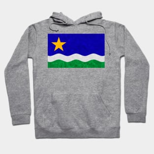 State flag of Minnesota Hoodie